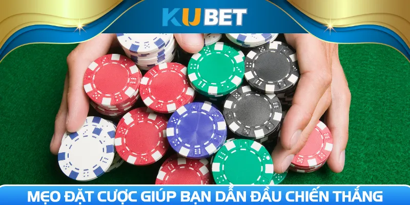 Mẹo đặt cược giúp bạn dẫn đầu chiến thắng